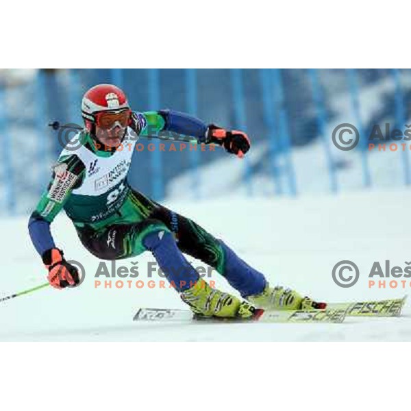 Anze Mravlja during Giant-Slalom race at 23rd Winter Universiade in Torino. Race was held at slope Jafferau near Bardonecchia.