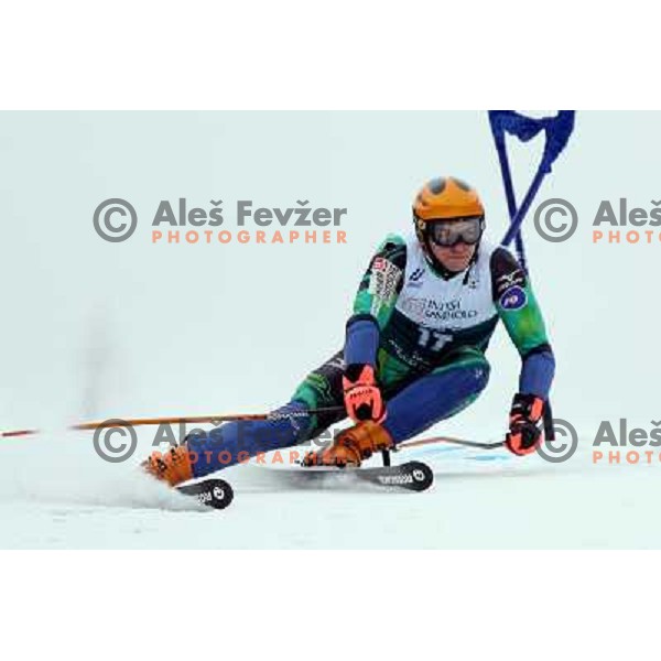  Miha Kuerner during Giant-Slalom race at 23rd Winter Universiade in Torino. Race was held at slope Jafferau near Bardonecchia.
