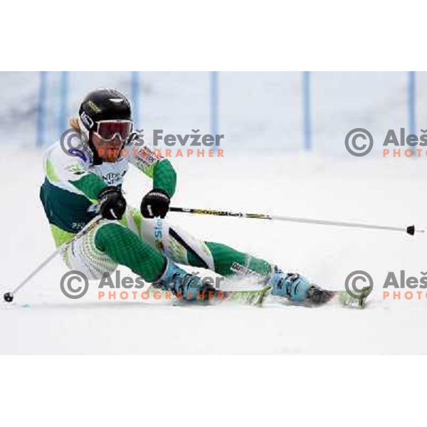 Matija Grasic during Giant-Slalom race at 23rd Winter Universiade in Torino. Race was held at slope Jafferau near Bardonecchia.