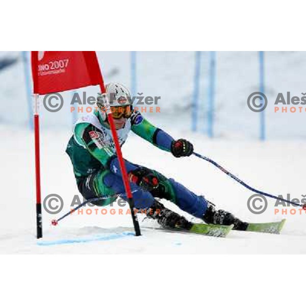 Grega Brajovic during Giant-Slalom race at 23rd Winter Universiade in Torino. Race was held at slope Jafferau near Bardonecchia.