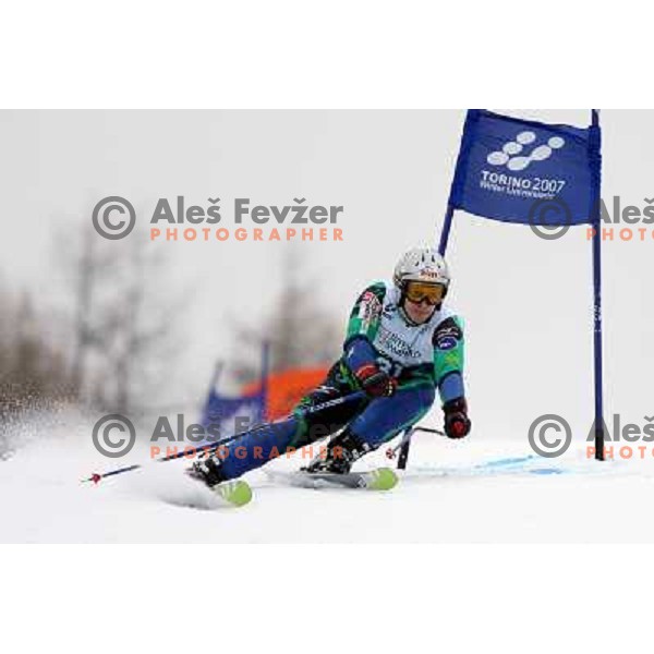 Grega Brajovic during Giant-Slalom race at 23rd Winter Universiade in Torino. Race was held at slope Jafferau near Bardonecchia.