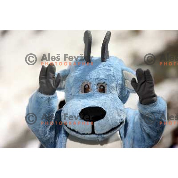 Mascot Crazy of 23rd Winter Universiade 2007 at Pragelato, Italy on 18.01.2007