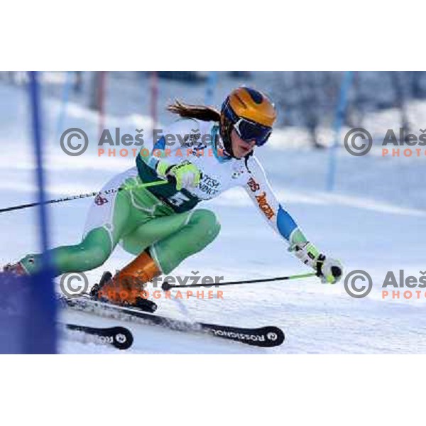 Alenka Kuerner during first run of Giant slalom girls on 23rd Winter Universiade 2007 at Jafferau, Bardonecchia, Italy on 19.01.2007