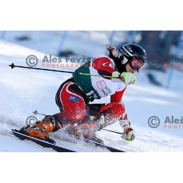 Ana Kobal during first run of Giant slalom girls on 23rd Winter Universiade 2007 at Jafferau, Bardonecchia, Italy on 19.01.2007