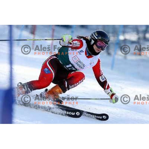 Ana Kobal during first run of Giant slalom girls on 23rd Winter Universiade 2007 at Jafferau, Bardonecchia, Italy on 19.01.2007