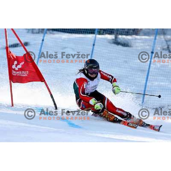 Ana Kobal during first run of Giant slalom girls on 23rd Winter Universiade 2007 at Jafferau, Bardonecchia, Italy on 19.01.2007