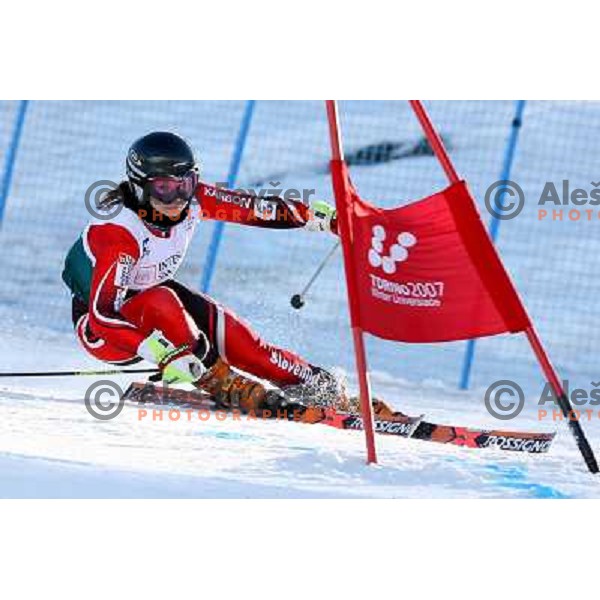 Ana Kobal during first run of Giant slalom girls on 23rd Winter Universiade 2007 at Jafferau, Bardonecchia, Italy on 19.01.2007