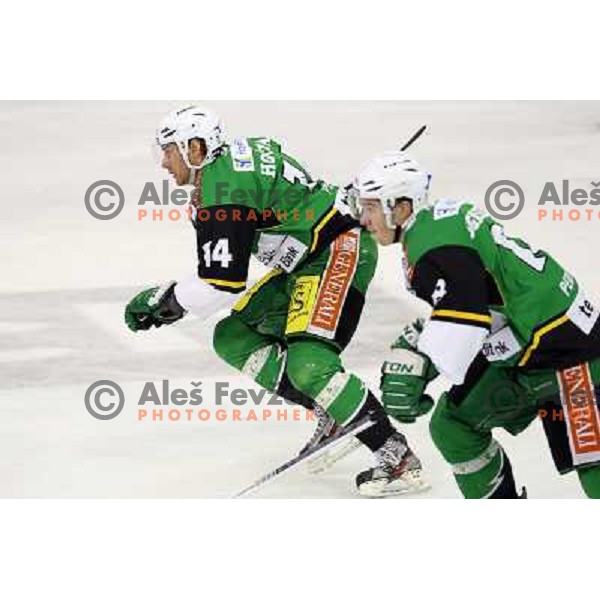 Ales Music of Telemach Olimpija in action during ice hockey match Telemach Olimpija Ljubljana- Dornbirn in round 13 of Ebel league 2012/13 played in Hala Tivoli, Ljubljana, Slovenia on October 19, 2012 