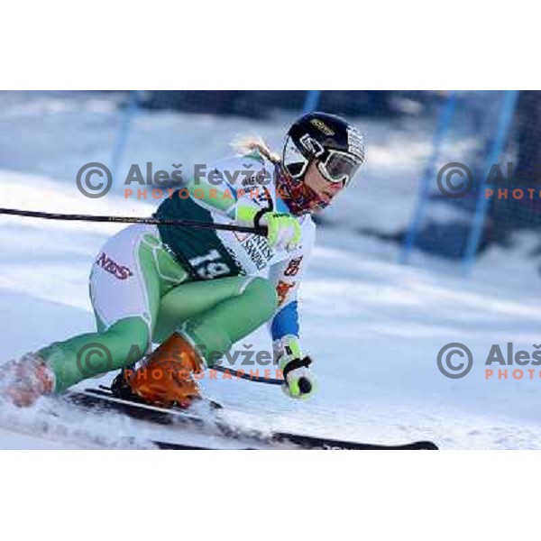 Masa Radensek during first run of Giant slalom girls on 23rd Winter Universiade 2007 at Jafferau, Bardonecchia, Italy on 19.01.2007
