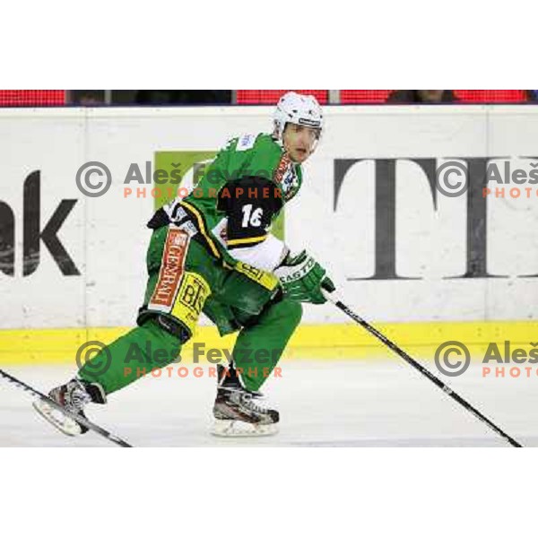 Ales Music of Telemach Olimpija in action during ice hockey match Telemach Olimpija Ljubljana- Dornbirn in round 13 of Ebel league 2012/13 played in Hala Tivoli, Ljubljana, Slovenia on October 19, 2012 