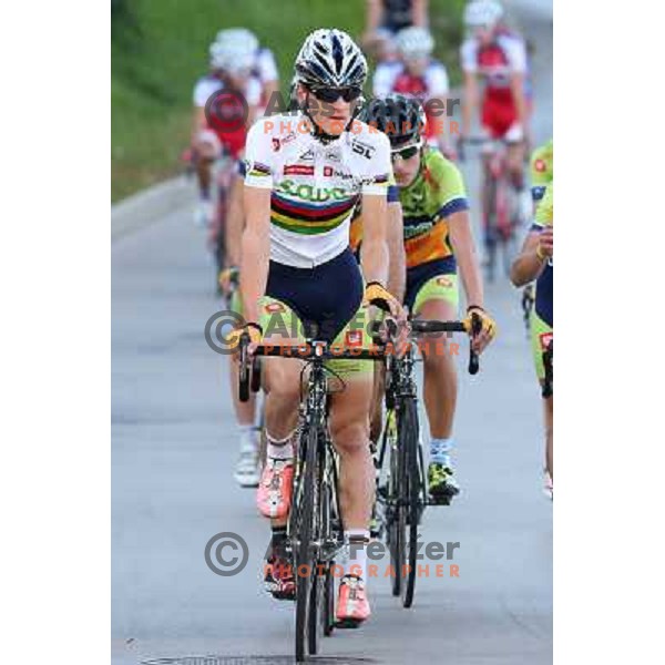 Matej Mohoric (Sava) world champion under 23 after last race of the 2012 professional cycling season in Podsmreka, Ljubljana, Slovenia on October 21, 2012 