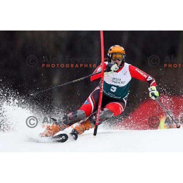 Petra Robnik during first slalom run in Bardonecchia at 23rd Winter Universiade 2007 , Torino, Italy on 21.01.2007