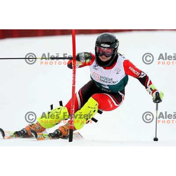 Ana Kobal during first slalom run in Bardonecchia at 23rd Winter Universiade 2007 , Torino, Italy on 21.01.2007