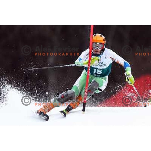 Alenka Kuerner during first slalom run in Bardonecchia at 23rd Winter Universiade 2007 , Torino, Italy on 21.01.2007