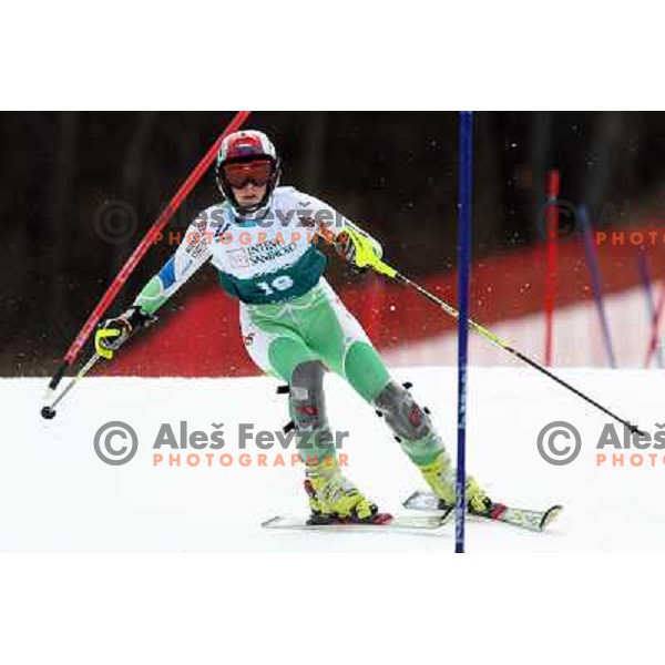 Lana Grandovec during first slalom run in Bardonecchia at 23rd Winter Universiade 2007 , Torino, Italy on 21.01.2007