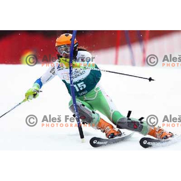 Alenka Kuerner during first slalom run in Bardonecchia at 23rd Winter Universiade 2007 , Torino, Italy on 21.01.2007