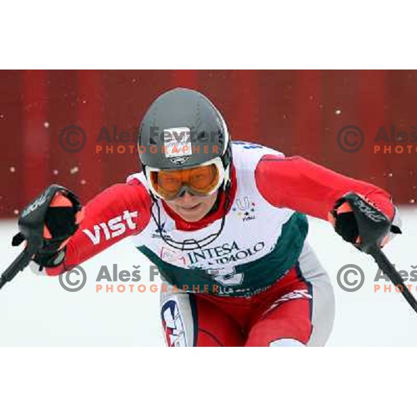 Czech skier during first slalom run in Bardonecchia at 23rd Winter Universiade 2007 , Torino, Italy on 21.01.2007