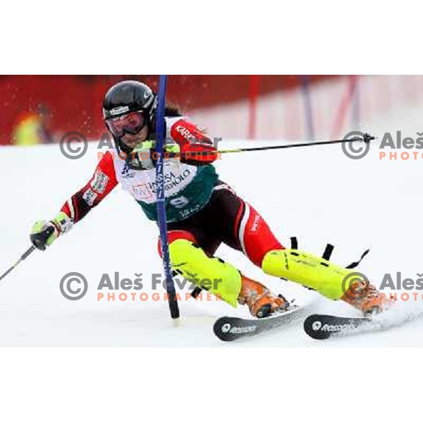 Ana Kobal during first slalom run in Bardonecchia at 23rd Winter Universiade 2007 , Torino, Italy on 21.01.2007