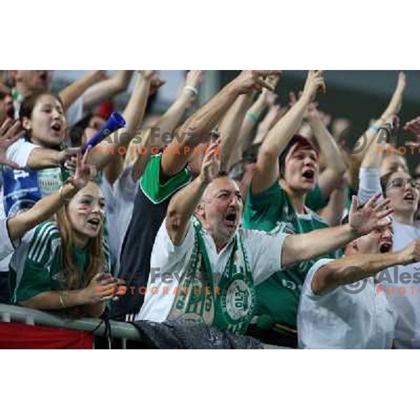 Fans of Gyori Audi Eto KC in action during handball match Krim Mercator-Gyori Audi Eto KC in round 3 of EHF Women\'s Champion league, played in Arena Stozice, Ljubljana, Slovenia on October 28, 2012 