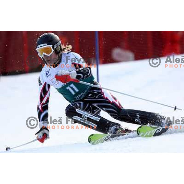 Petter Robertsson during first slalom run in Bardonecchia at 23rd Winter Universiade 2007 , Torino, Italy on 20.01.2007
