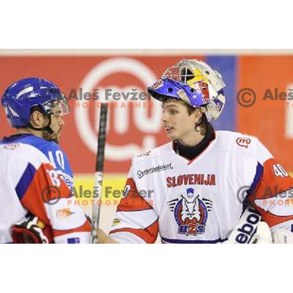 Luka Gracnar of Slovenia in action during ice-hockey match Slovenia-Italy at EIHC challenge tournament in Hala Tivoli, Ljubljana, Slovenia on November 8,2012 