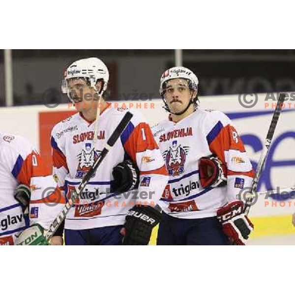 Anze Kopitar and Gasper Kopitar of Slovenia in action during ice-hockey match Slovenia-Italy at EIHC challenge tournament in Hala Tivoli, Ljubljana, Slovenia on November 8,2012 