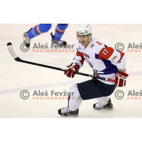 Ziga Pance of Slovenia in action during ice-hockey match Slovenia-Italy at EIHC challenge tournament in Hala Tivoli, Ljubljana, Slovenia on November 8,2012 
