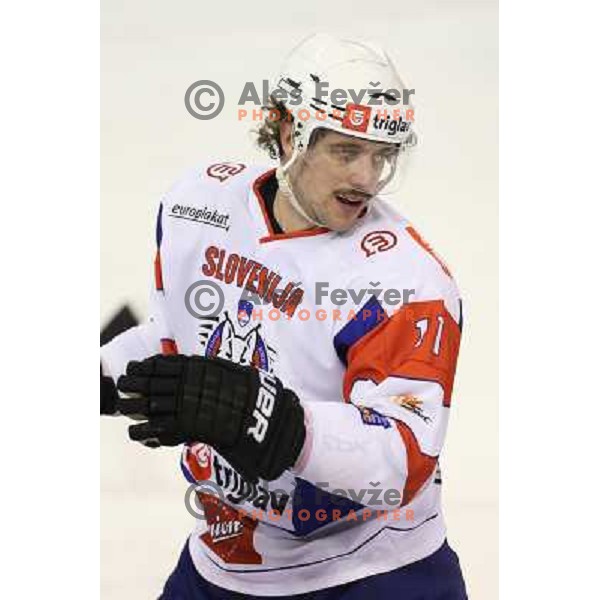 Anze Kopitar of Slovenia in action during ice-hockey match Slovenia-Italy at EIHC challenge tournament in Hala Tivoli, Ljubljana, Slovenia on November 8,2012 