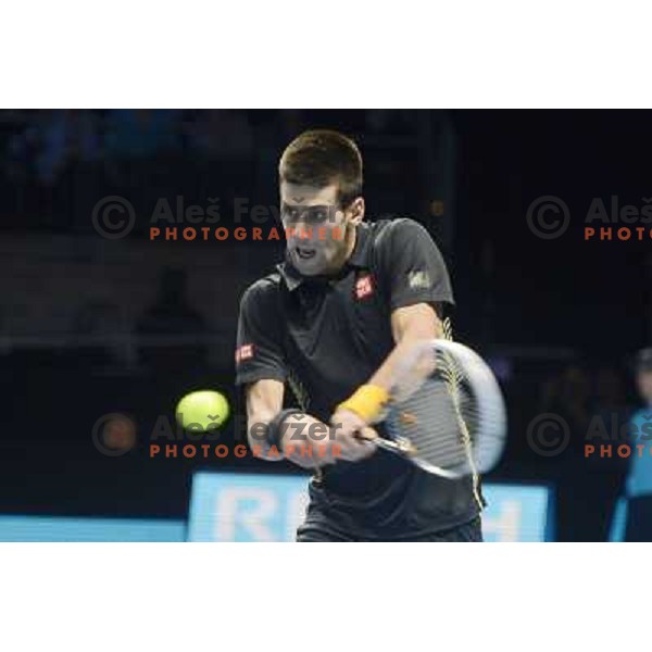 Novak Djokovic of Serbia in action during ATP Finals tournament in O2 Arena, London, Great Britain on November 2012 
