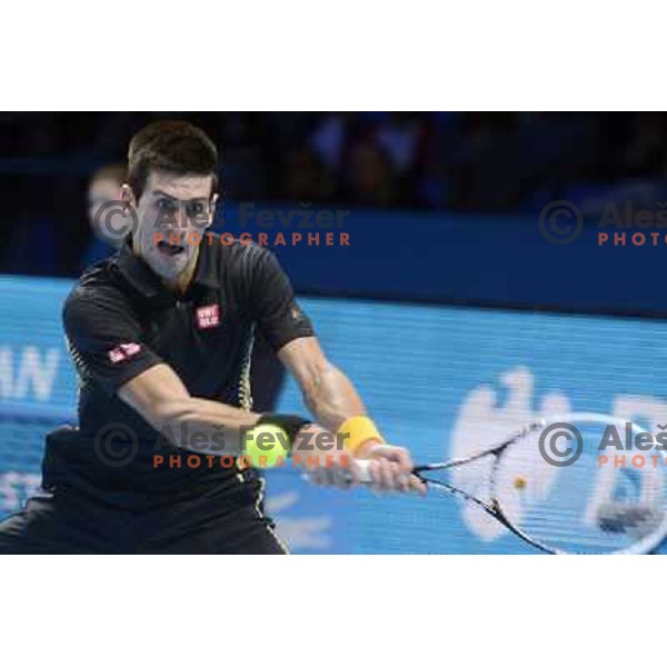 Novak Djokovic of Serbia in action during ATP Finals tournament in O2 Arena, London, Great Britain on November 2012 