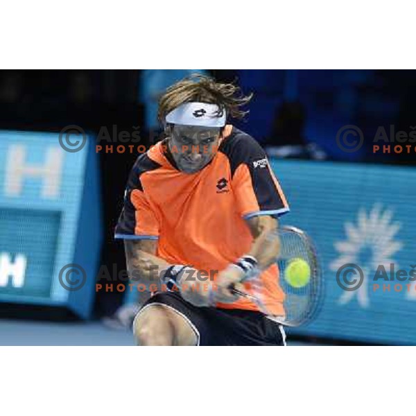 David Ferrer of Spain in action during ATP Finals tournament in O2 Arena, London, Great Britain on November 2012 