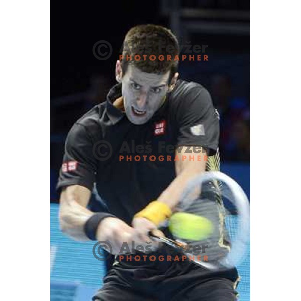 Novak Djokovic of Serbia in action during ATP Finals tournament in O2 Arena, London, Great Britain on November 2012 