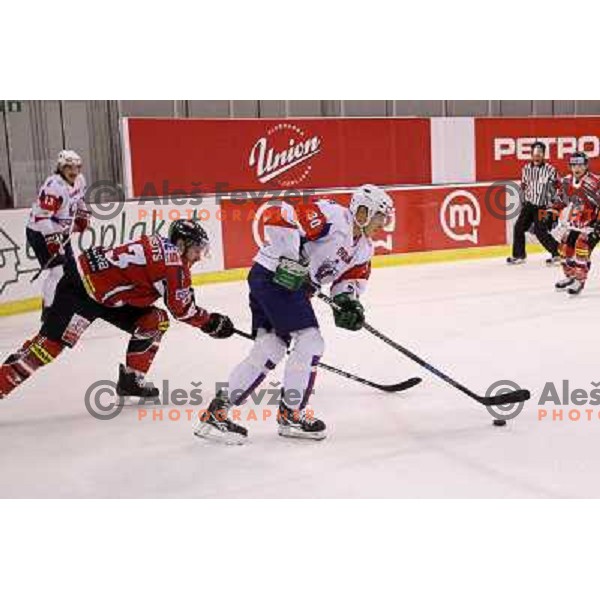 Erik Pance of Slovenia in action during ice-hockey match Slovenia-Austria at EIHC tournament in Hala Tivoli, Ljubljana, Slovenia on November 10,2012 