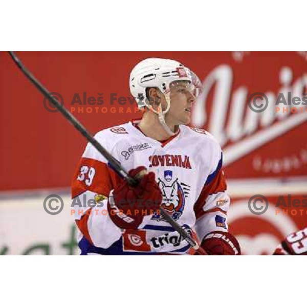 Jan Mursak of Slovenia in action during ice-hockey match Slovenia-Austria at EIHC tournament in Hala Tivoli, Ljubljana, Slovenia on November 10,2012 