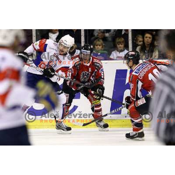 Anze Kopitar of Slovenia in action during ice-hockey match Slovenia-Austria at EIHC tournament in Hala Tivoli, Ljubljana, Slovenia on November 10,2012 