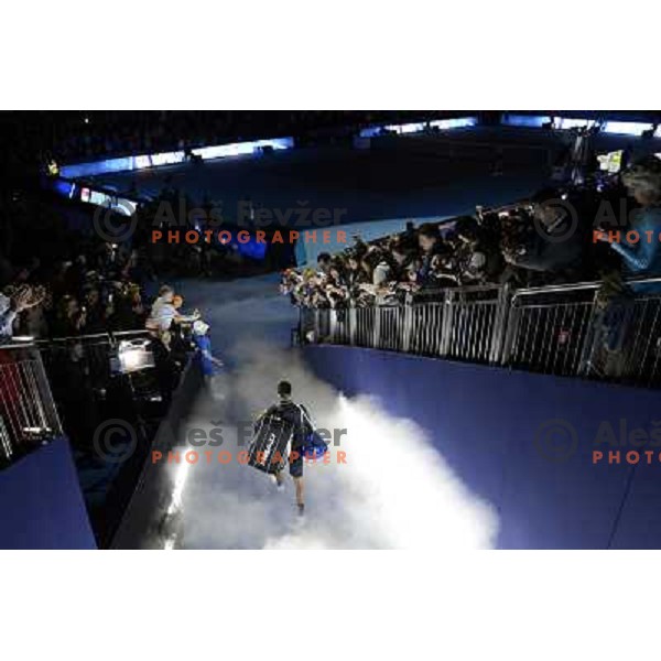 Novak Djokovic of Serbia, winner of ATP World Tour Finals tournament in O2 Arena, London, Great Britain on November 12, 2012 