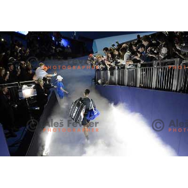 Novak Djokovic of Serbia, winner of ATP World Tour Finals tournament in O2 Arena, London, Great Britain on November 12, 2012 