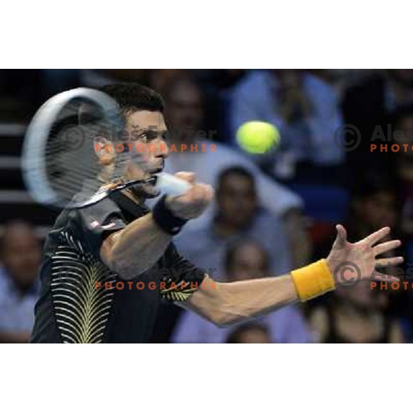 Novak Djokovic of Serbia, winner of ATP World Tour Finals tournament in O2 Arena, London, Great Britain on November 12, 2012 