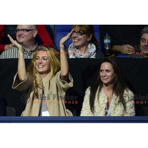 Fans of Novak Djokovic of Serbia, winner of ATP World Tour Finals tournament in O2 Arena, London, Great Britain on November 12, 2012 