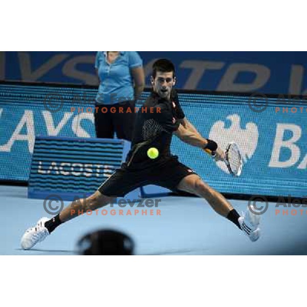Novak Djokovic of Serbia, winner of ATP World Tour Finals tournament in O2 Arena, London, Great Britain on November 12, 2012 