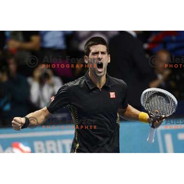 Novak Djokovic of Serbia, winner of ATP World Tour Finals tournament in O2 Arena, London, Great Britain on November 12, 2012 