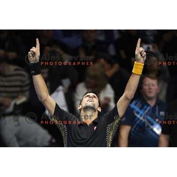 Novak Djokovic of Serbia, winner of ATP World Tour Finals tournament in O2 Arena, London, Great Britain on November 12, 2012 