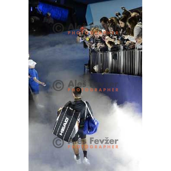 Novak Djokovic of Serbia, winner of ATP World Tour Finals tournament in O2 Arena, London, Great Britain on November 12, 2012 