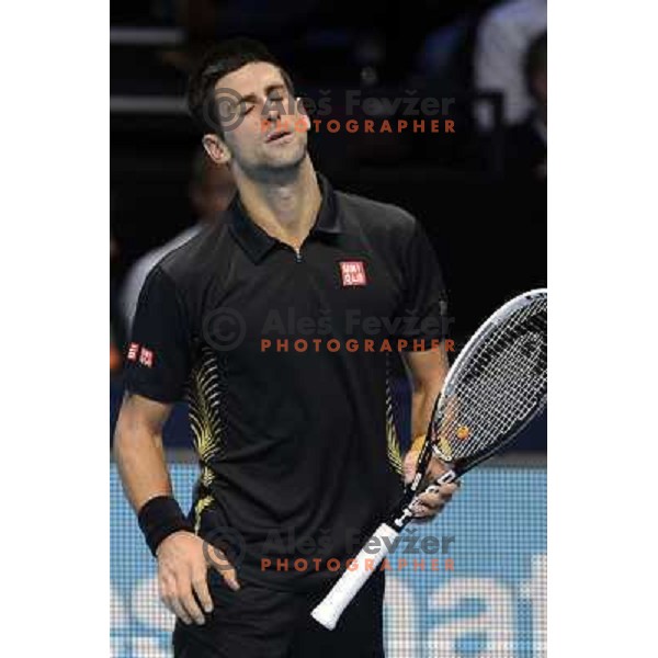 Novak Djokovic of Serbia, winner of ATP World Tour Finals tournament in O2 Arena, London, Great Britain on November 12, 2012 