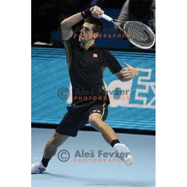Novak Djokovic of Serbia, winner of ATP World Tour Finals tournament in O2 Arena, London, Great Britain on November 12, 2012 