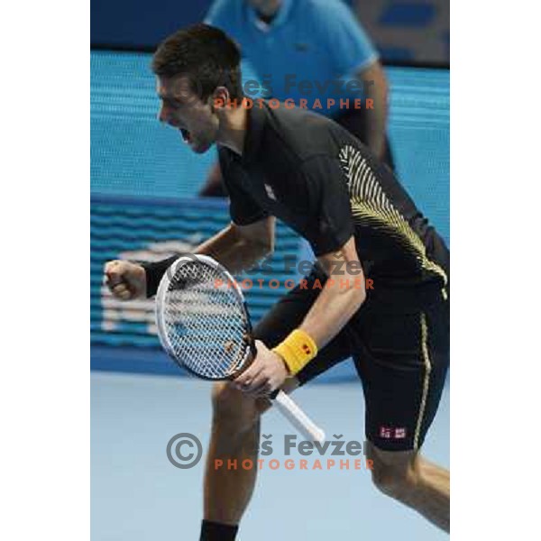 Novak Djokovic of Serbia, winner of ATP World Tour Finals tournament in O2 Arena, London, Great Britain on November 12, 2012 