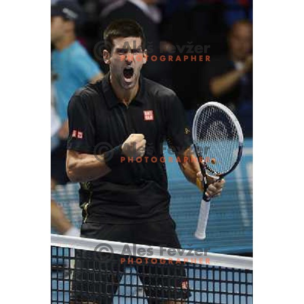 Novak Djokovic of Serbia, winner of ATP World Tour Finals tournament in O2 Arena, London, Great Britain on November 12, 2012 