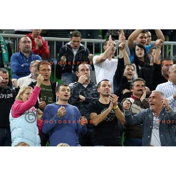 Fans of Union Olimpija in action during basketball game Union Olimpija Ljubljana- Mapooro Cantu in round 6 of Turkish Airlines Euroleague 2012/13 played in Arena Stozice, Ljubljana, Slovenia on November 15, 2012 