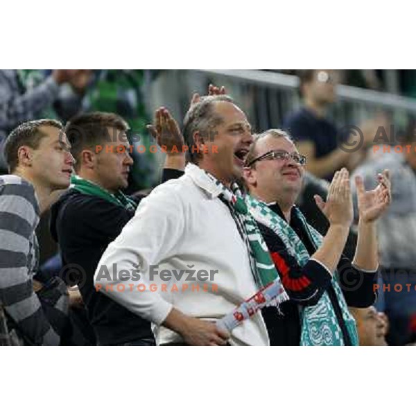 Fans of Union Olimpija in action during basketball game Union Olimpija Ljubljana- Mapooro Cantu in round 6 of Turkish Airlines Euroleague 2012/13 played in Arena Stozice, Ljubljana, Slovenia on November 15, 2012 