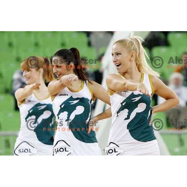 Zmajcice -Dragon Ladies of Union Olimpija in action during basketball game Union Olimpija Ljubljana- Mapooro Cantu in round 6 of Turkish Airlines Euroleague 2012/13 played in Arena Stozice, Ljubljana, Slovenia on November 15, 2012 